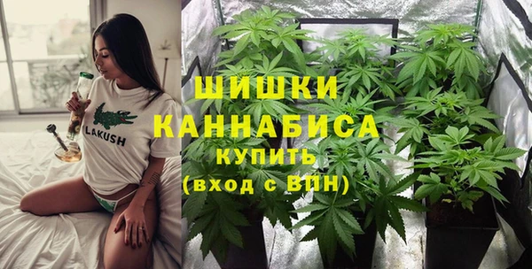 МДМА Ельня