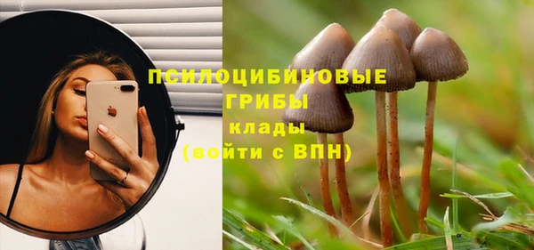 скорость Елизово