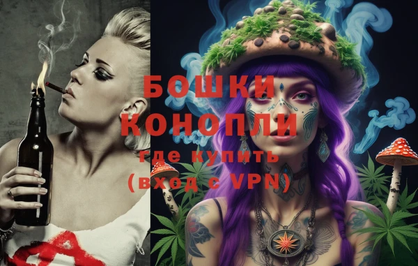 МДМА Ельня