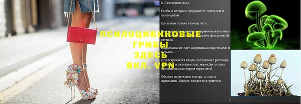 гидропоника Елабуга