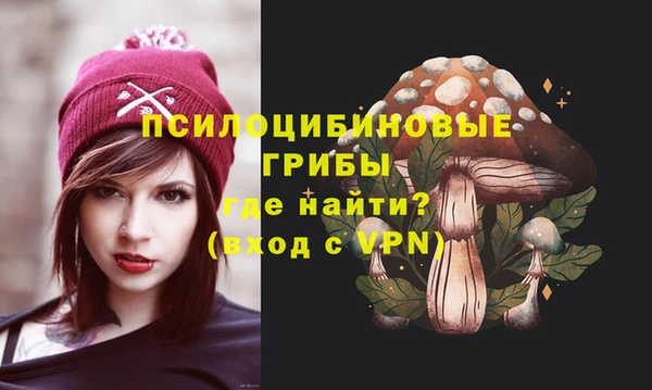 МДМА Ельня