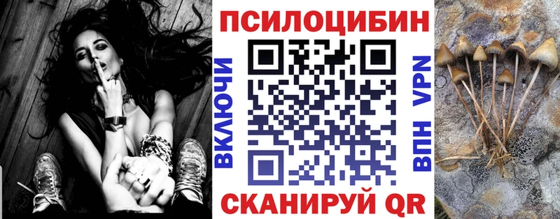 Галлюциногенные грибы Psilocybe  наркота  Зеленогорск 
